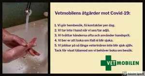 En lista över Vetmobilens åtgärder för att minska risken för Covid-19, vårdhygien.