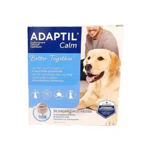 Adaptil Calm doftavgivare ger trygghet år din hund. Bilden föreställer en lugn golden retriever-hund där ägaren, en man med lite skägg, skymtar i bakgrunden. Adaptil calm doftavgivare finns att köpa på vetbutiken.